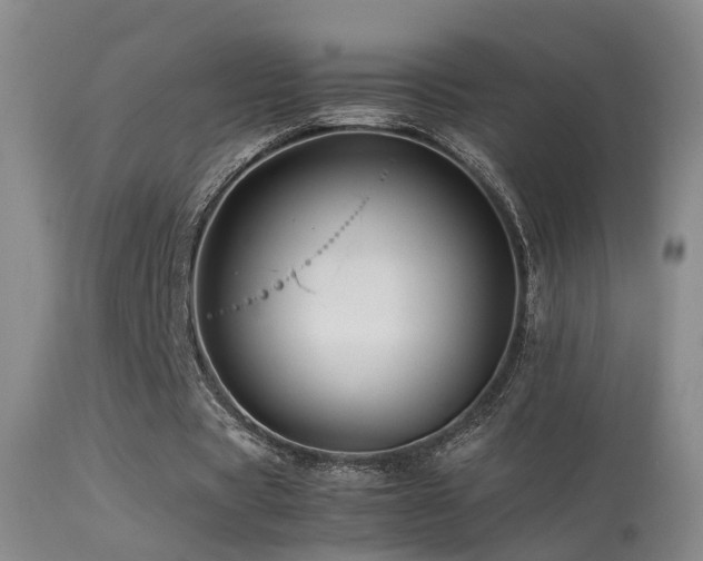 X0000113330529200909141429