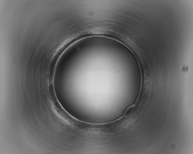 X0000113330530200909141429