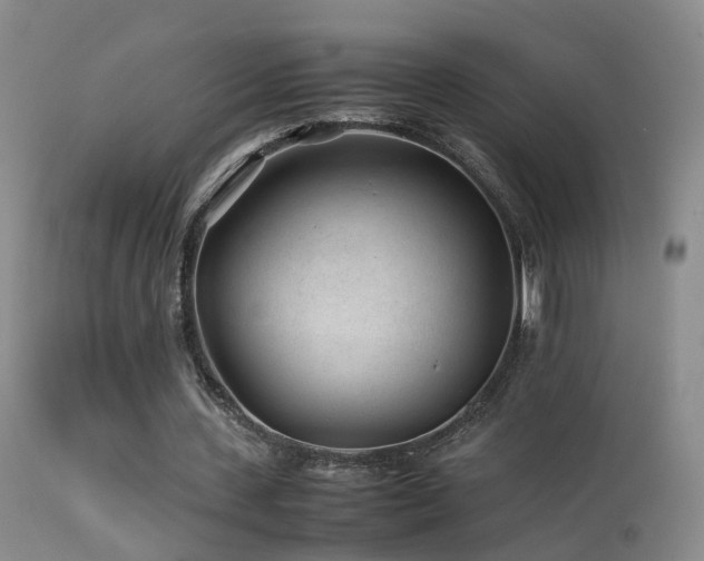 X0000113330531200909141429