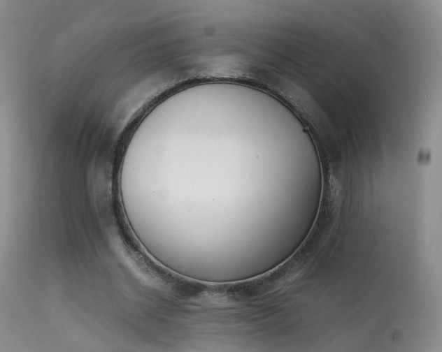 X0000113330534200909141429