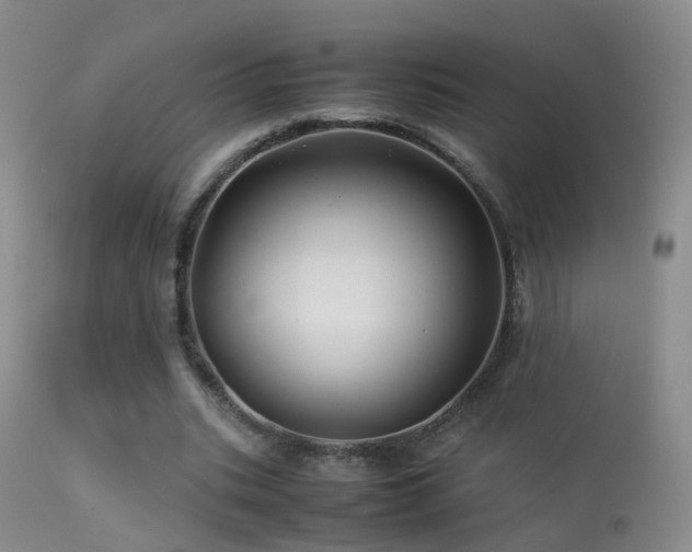 X0000113330535200909141429