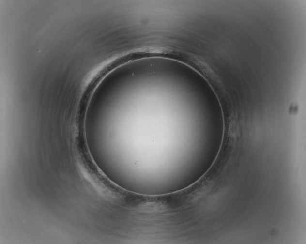 X0000113330536200909141429
