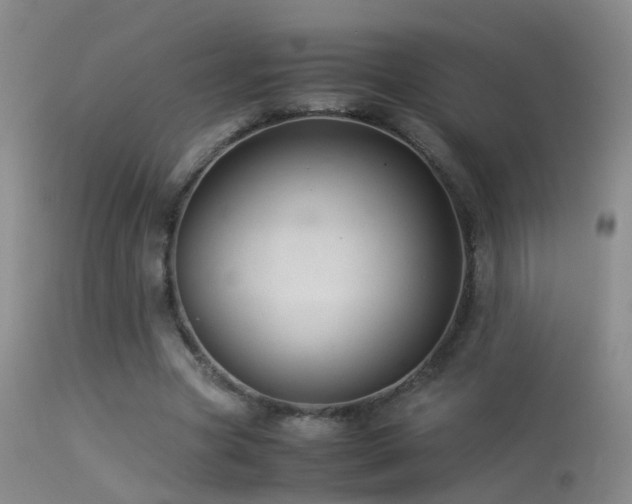 X0000113330537200909141429
