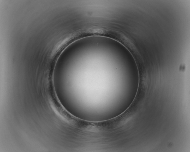 X0000113330538200909141429