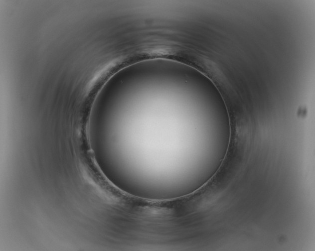 X0000113330539200909141429