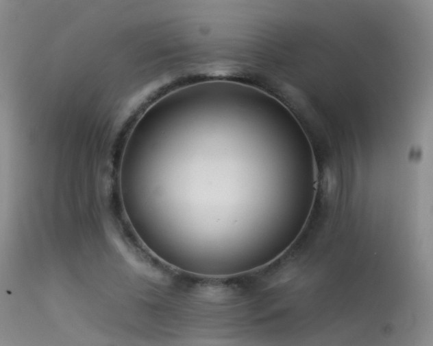 X0000113330540200909141429