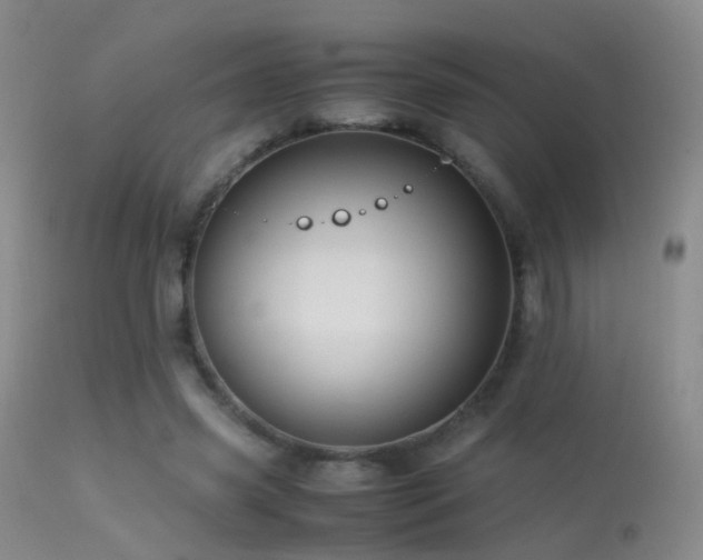 X0000113330541200909141429
