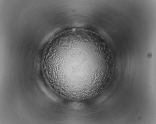 X0000113330542200909141429
