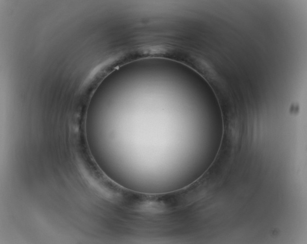 X0000113330543200909141429
