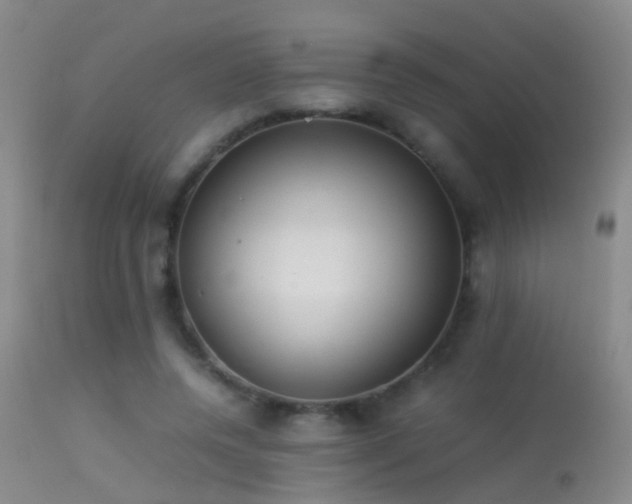 X0000113330544200909141429