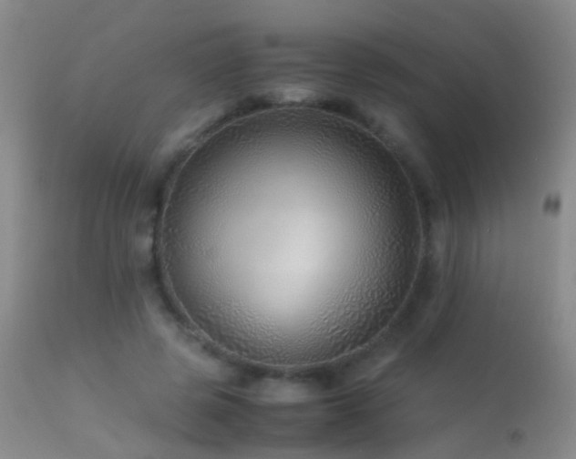 X0000113330545200909141429