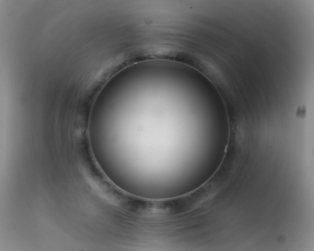 X0000113330546200909141429