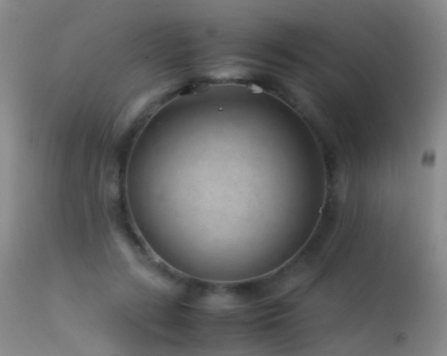 X0000113330547200909141429