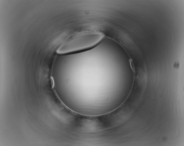 X0000113330548200909141429