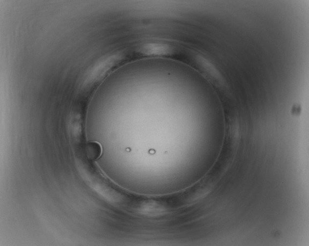 X0000113330549200909141429