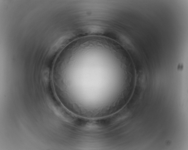X0000113330550200909141429
