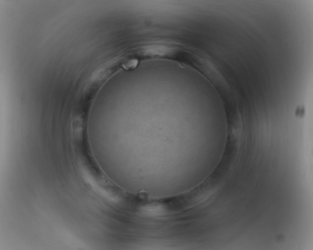 X0000113330551200909141429