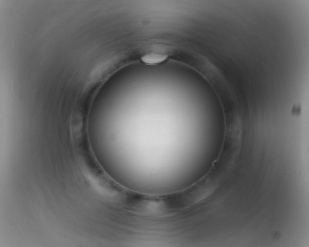 X0000113330552200909141430