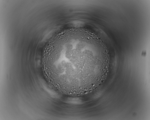 X0000113330553200909141430