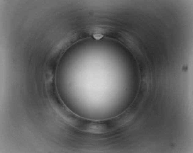 X0000113330555200909141430