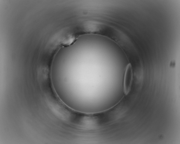 X0000113330556200909141430