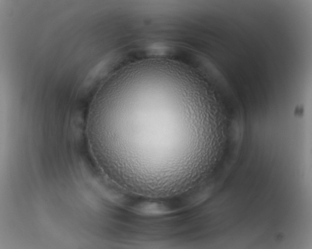 X0000113330557200909141430