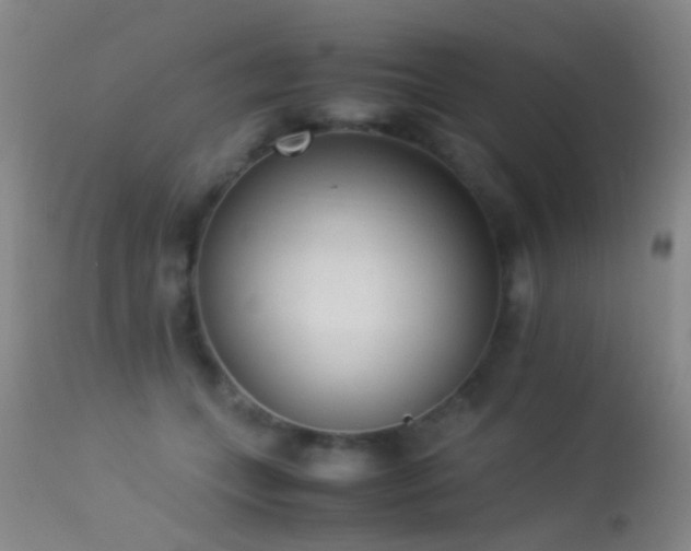X0000113330559200909141430