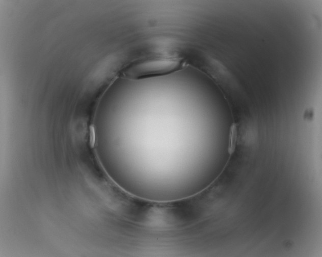 X0000113330560200909141430