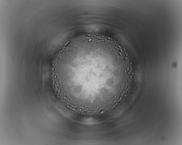 X0000113330561200909141430
