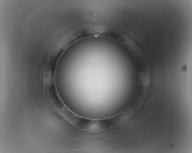 X0000113330564200909141430