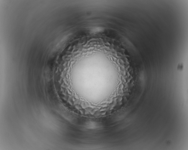 X0000113330565200909141430