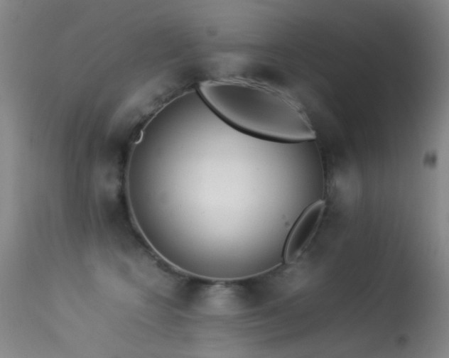 X0000113330566200909141430