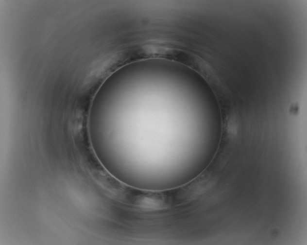X0000113330567200909141430