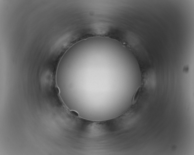 X0000113330568200909141430