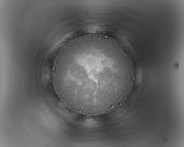 X0000113330569200909141430