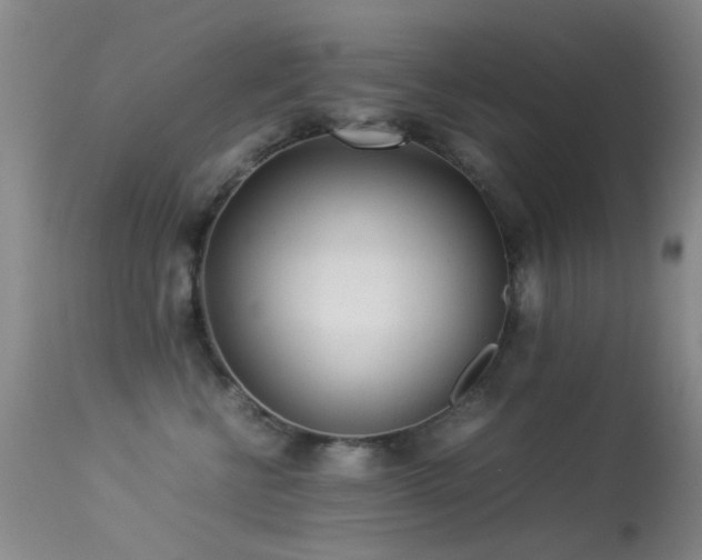 X0000113330570200909141430
