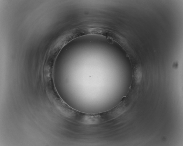 X0000113330571200909141430