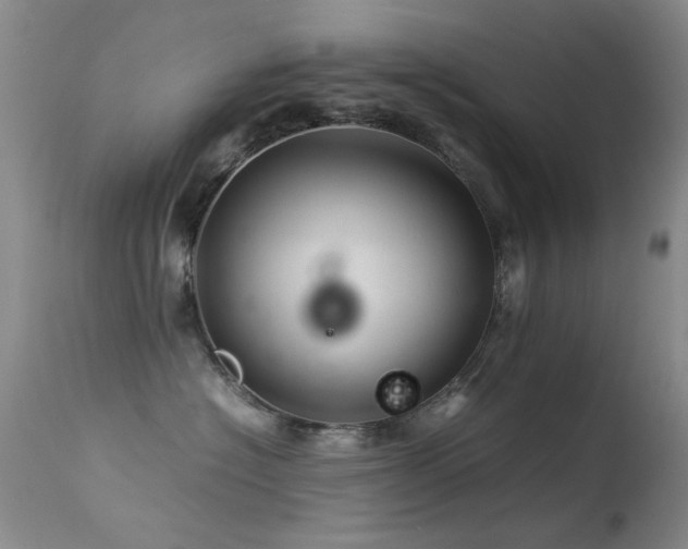 X0000113330574200909141430