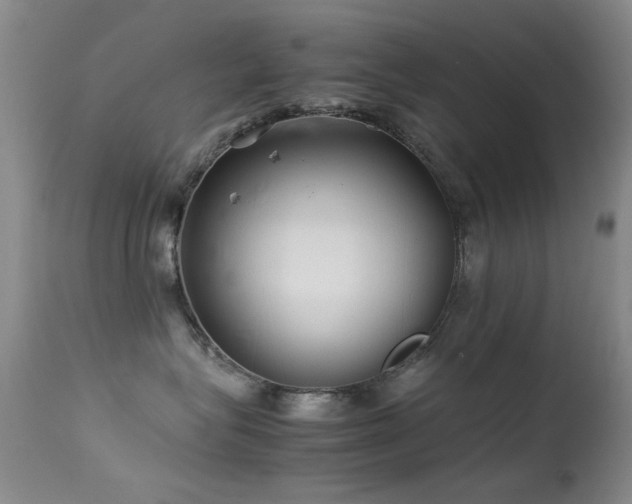 X0000113330575200909141430