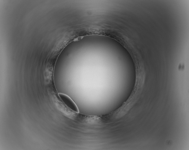 X0000113330576200909141430