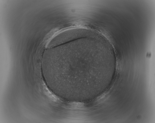 X0000113330577200909141429