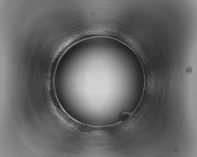 X0000113330578200909141429