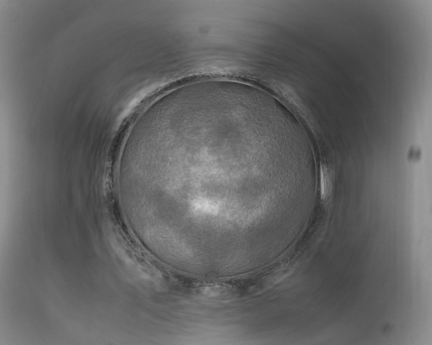 X0000113330579200909141429