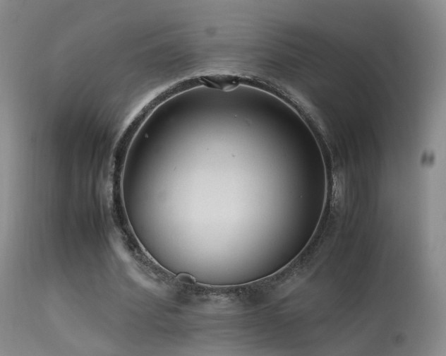 X0000113330580200909141429