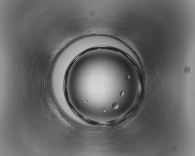 X0000113330581200909141429