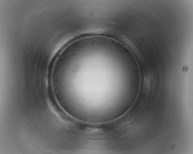 X0000113330582200909141429