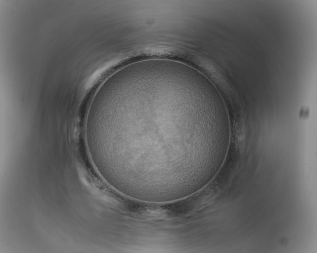 X0000113330583200909141429