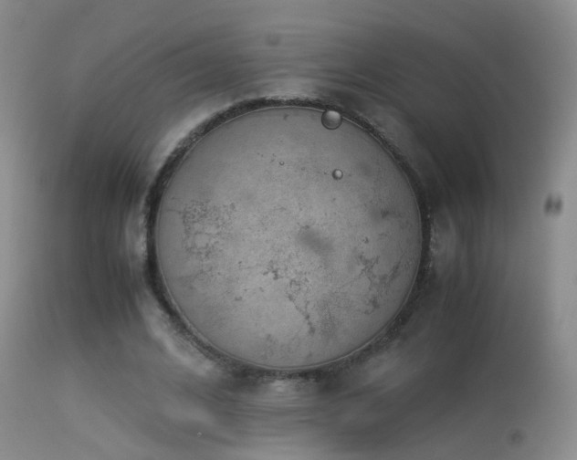 X0000113330584200909141429