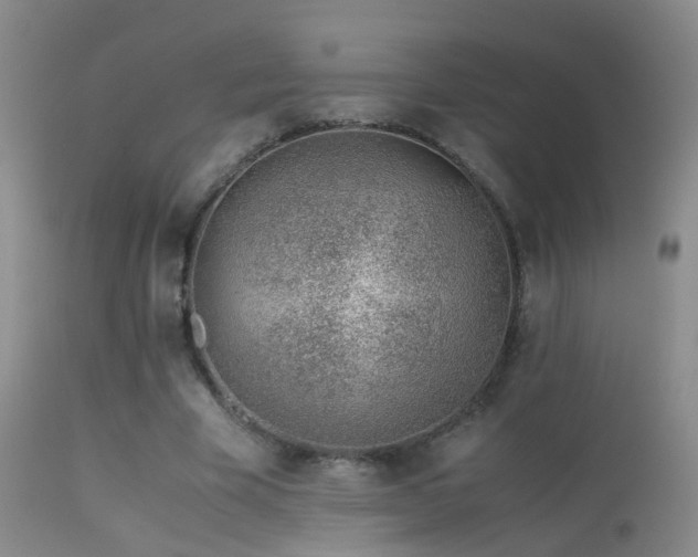 X0000113330585200909141429