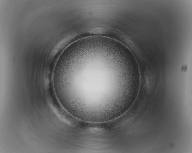 X0000113330586200909141429